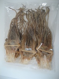 오징어다리 (1kg)